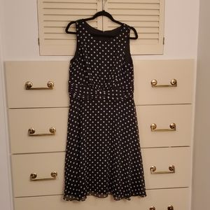 MSK Black and Cream Size 14 Polka Dot Dress